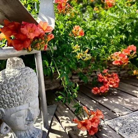 Bed and Breakfast Cabrida